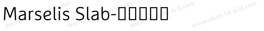 Marselis Slab字体转换